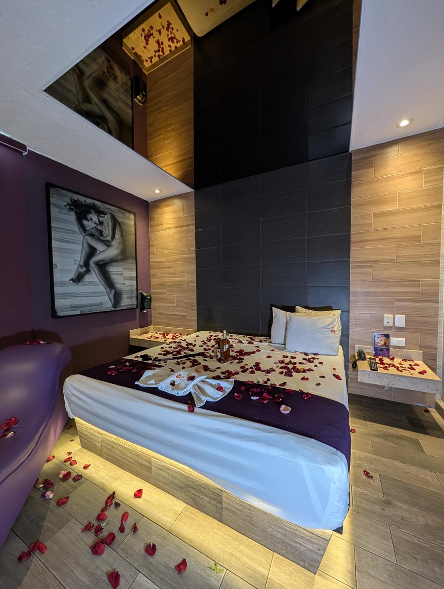 Interior contemporáneo de habitación